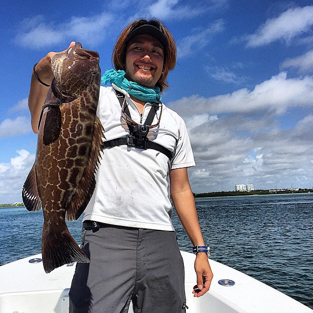 Florida grouper regulations