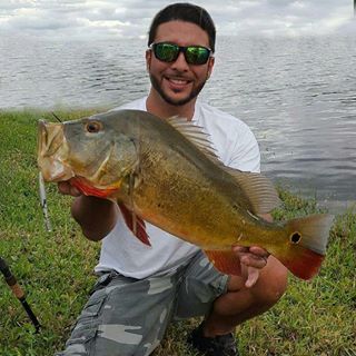 south florida fishing